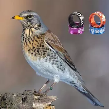 10 шт. сплава кольцо для ног птицы кольцо для ног голубей с пронумерованным инструментом для обучения полетам на открытом воздухе идентификационная этикетка для соревнований 3mm