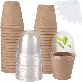 10 шт. стакан для рассады, прозрачная крышка, теплица, ящик для разведения, биоразлагаемый стакан для выращивания растений для садоводства