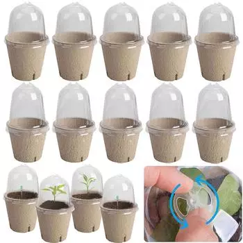 10 шт. стакан для рассады, прозрачная крышка для проращивания семян, биоразлагаемый ящик для разведения растений в теплице, садовые принадлежности