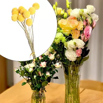 10 шт. сушеных цветов Краспедия для офисного декора 0.8 to 1cm