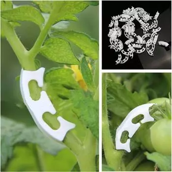 10 шт., укрепляющие ветки деревьев, тепличные растения, опора для стебля овощей, удерживающий держатель, зажим, инструмент As picture shows