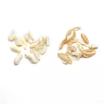 10 шт./упак., необычная нерегулярная натуральная ракушка перфорированная подвеска, богемные мужские и женские подвески для самостоятельного изготовления уникального ожерелья, браслета на щиколотку, аксессуары 17x8 мм 10Pcs/178mm