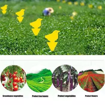 10 шт. Водонепроницаемые ловушки для мух, липкие доски, наклейки для насекомых-убийц (Птица)