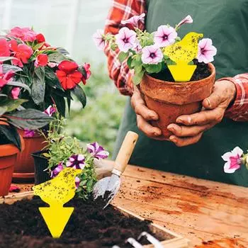 10 шт. Водонепроницаемые ловушки для мух, липкие доски, наклейки для насекомых-убийц (Птица)