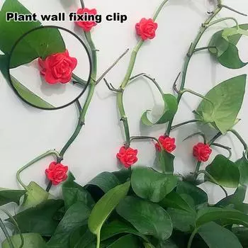 10 шт. зажим для крепления растений на стену, самоклеящийся крючок для фиксации лианы, тяговый инструмент, настенный зажим для поддержки растений Rose красный
