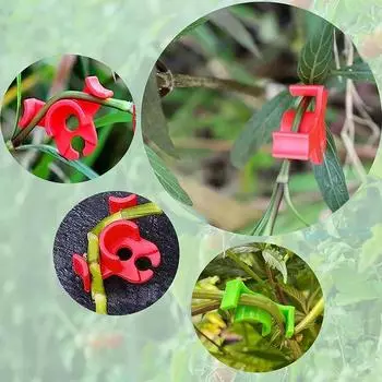 10 шт. зажим для растений, изгибающее устройство для низкого давления, ветвей цветочной лозы, зажимы для стеблей растений, зажим для роста садовых растений белый