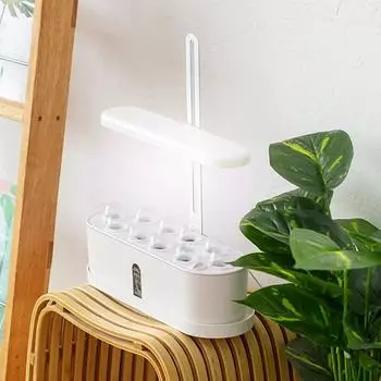 10-стручковая гидропонная система выращивания, комплект для выращивания трав в помещении с подсветкой, умный сад для дома EU Plug