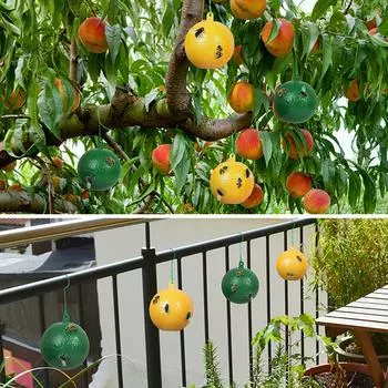 10 упаковок флайбола, прочный клей, непромокаемый, солнцезащитный, легко ловит насекомых, грибковые комары, фруктовые ловушки для мух зелёный