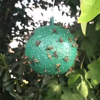 10 упаковок флайбола, прочный клей, непромокаемый, солнцезащитный, легко ловит насекомых, грибковые комары, фруктовые ловушки для мух жёлтый