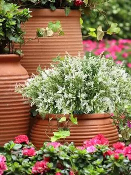 10 веток из искусственного пластика, искусственные растения лаванды, устойчивые к ультрафиолетовому излучению, зелень, кустарники, растения для кухни, дома, свадьбы, офиса, сада, декор белый