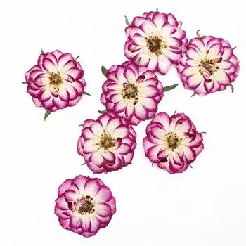 10шт сушеные цветы Diy Art Craft аксессуары для дома натуральные цветы наклейки