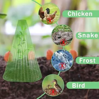 10x Green Garden S Growth с растительными покрытиями, легко хранить и эффективно защищать растения, зеленый колокольчик HA102363 зелёный