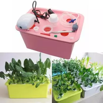 110/220 В 6-отверстий статический питомник гидропонный питомник ящик для выращивания гидропонных систем комплект ящик для выращивания без почвы в помещении