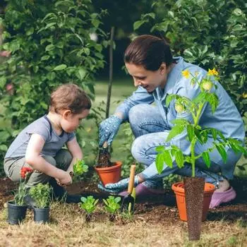 110 шт. комплект стручков семян, простые в использовании сменные стартовые губки для семян всех брендов, гидропонная система в помещении 1 Set