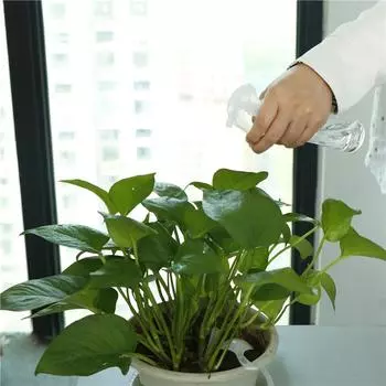 120 мл саженцы распылитель лейка офисная ваза распылитель флакон спрей для волос флакон