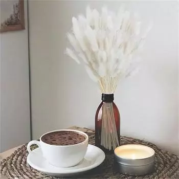 120 шт. натуральная сушеная трава «кроличьи хвосты» 60 см, сушеные цветы «кроличьи хвосты» Lagurus Ovatus, трава «кроличьи хвосты» для поделок, свадебных вечеринок, домашнего декора стола белый