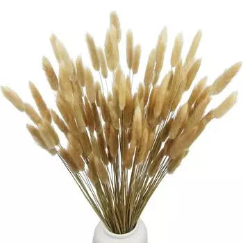 120 шт., сушеные цветы, заячьи хвосты, натуральные сухие пампасы, вечные кроличьи хвосты, трава для вазы, свадебное украшение для дома, отеля 120pcs
