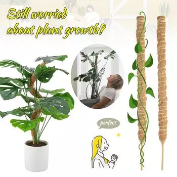 120 см Растение Вьющееся Кокосовое Тотемное Полюс Безопасный Садоводство Кокосовая Палка Для Вьющихся Растений Виноградные Лианы И Лианы Поддержка Растений 60CM
