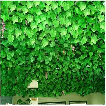 12/24 шт. 2 м искусственные листья плюща зеленые гирлянда растение листва винограда домашний декор пластиковая ротанговая гирлянда настенное украшение искусственные растения
