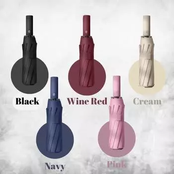 12 Bones ветрозащитный двухслойный устойчивый зонт полностью автоматический дождь мужчины женщины роскошный деловой мужской большой зонт Parasol12 чёрный