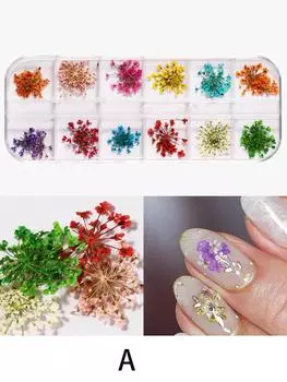 12-цветная коробка из сухих цветов для нейл-арта, украшение своими руками