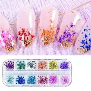 12 цветов для ногтей, аппликация из сухих цветов, украшение, стереонаклейка в виде лепестка, наклейка для ногтей