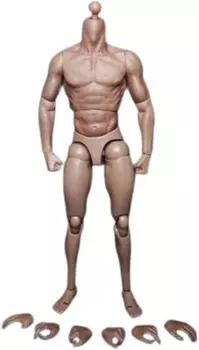 12-дюймовая мужская фигурка, подходящая для головы, резьба по голове, скульптурная модель 16 1/6