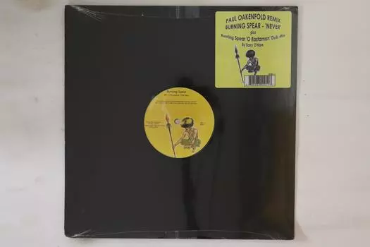 12-дюймовая пластинка BURNING SPEAR - Never BS001 Burning Music 2007 США Регги, Ска и Даб Б/У
