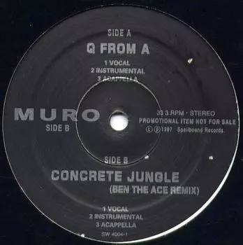 12-дюймовая пластинка MURO Q От SW4004PROMO Зачарованный Reco 1997 Япония Японский клубный танец