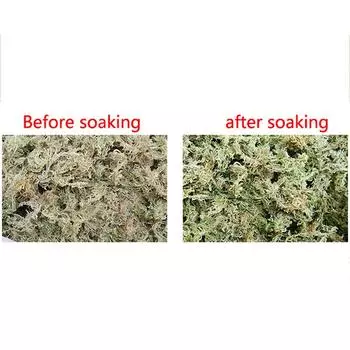 12 л мох сфагнум садовые принадлежности органическое удобрение для орхидеи фаленопсис