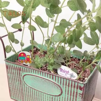 12 шт. белых камней для рисования размером от 2 до 3 дюймов, камни неправильной формы, гладкие плоские камни для наскальной живописи, предметов искусства и поделок своими руками 12pcs