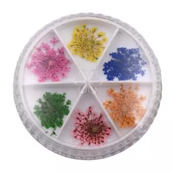 12 шт./компл., сушеные цветы для ногтей, натуральные долговечные различные цвета, элегантные сушеные цветы, украшения для ногтей, натуральные цветочные наклейки для женщин 12pcs/1set