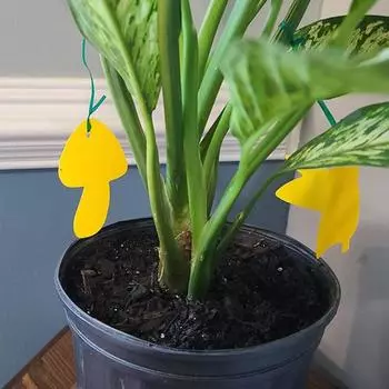 12 шт., липкая самоклеящаяся ловушка для мух, водонепроницаемая, экологически чистая, защитная ловушка для грибков, садовые принадлежности E