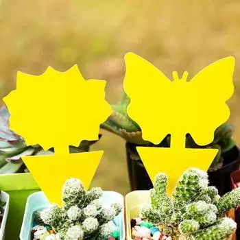 12 шт. липкие ловушки водонепроницаемые прочные клейкие толстые двусторонние ловушки для мух симпатичной формы для использования в помещении I