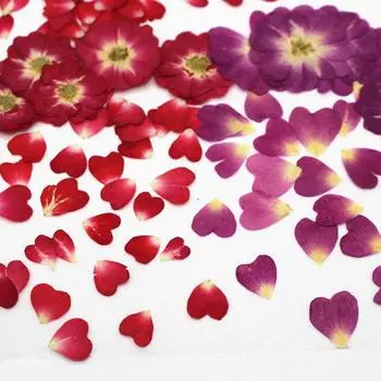 12 шт./лот настоящие сушеные розы цветы DIY домашнее украшение УФ смола формы для изготовления ювелирных изделий фиолетовый