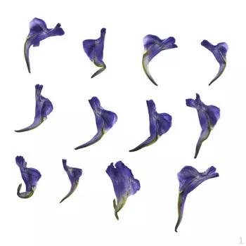 12 шт. настоящие прессованные натуральные сушеные цветы с листьями