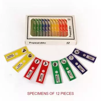12 шт., подготовленные для микроскопа слайды, насекомые, растения, животные, пластиковые образцы