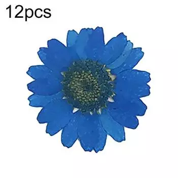 12 шт., прессованные сушеные натуральные цветы, эпоксидная смола, украшение для ногтей, сделай сам, украшение для телефона розы красного