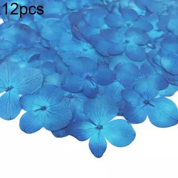 12 шт прессованный сушеный эпоксидный цветок образец растения декор смола телефон DIY синий