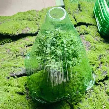 12 шт., садовые колпаки, чехлы для растений, прозрачные дышащие, простые в установке, защита цветочных растений, садовые принадлежности белый