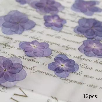 12 шт. сушеные цветы гортензии, сухие цветочные, настоящие прессованные для косметической фотографии