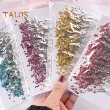 12 шт сушеный цветок ветка образец эпоксидной смолы карта закладка DIY аксессуары живой город модный домашний декор зелёный