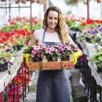 12 шт. трафаретов для рисования бабочек, 5,9-дюймовые пластиковые бабочки, цветочные