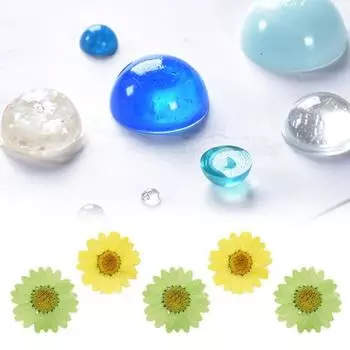 12Pcs Lightweight Colorful Beautiful Portable Long Lasting Sunflower Assorted Press Flower