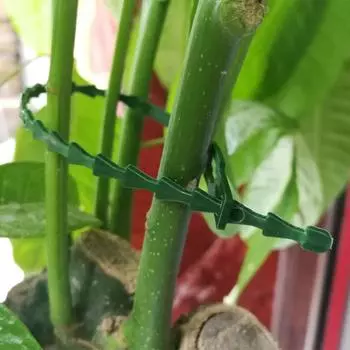 13/17/23 см регулируемые пластиковые стяжки для растений многоразовые крепления для кустарников для садовых деревьев лазающая опора для виноградной лозы стебель томата length 13cm
