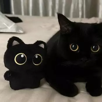 13 см милая черная кошка плюшевая игрушка кукла маленькая подвеска мягкая подушка подушка черная кошка плюшевая игрушка кукла для мальчика девочка подарки на день рождения About 13cm