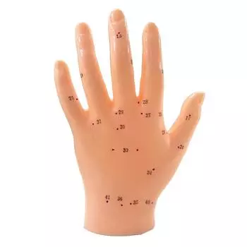 13 см модель акупунктуры рук, модель акупунктуры, зона отражения, массажная модель рук, прозрачный шрифт, обучение 13CM Hand