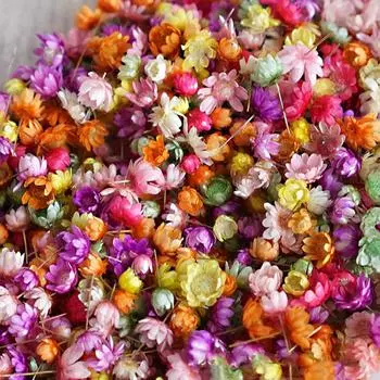 140 шт./пакет искусственные цветы эпоксидная смола изготовление свечей ювелирные изделия своими руками искусство ремесло домашняя вечеринка декоративный пресс искусственный цветок