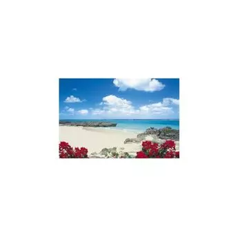 1500 Small Pieces Puzzle Master Healing Moment (50x75cm)