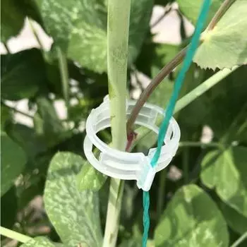 150/20 шт. пластиковые зажимы для растений, опоры, соединяющие многоразовую защиту, фиксацию прививки, садовые принадлежности для овощей, помидоров 20pcs белый